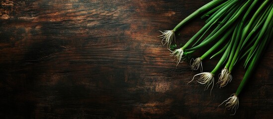 Fresh green spring onions arranged in a diagonal line on a dark wooden background with ample empty space for versatility showcasing and text placement