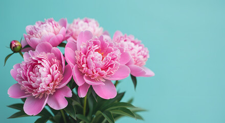 Peonies' Pastel Perfection: A close-up of a delicate arrangement of pink peonies against a muted background, a celebration of springtime blooms and floral artistry.