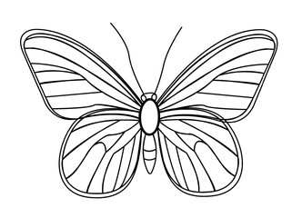 Delicate butterfly vector illustration for spring and summer designs