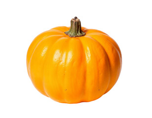 Obraz premium pumpkin isolated on white background