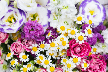 Floral background of various colorful flowers, vivid bright blossoms background of flowers, flowers close up   