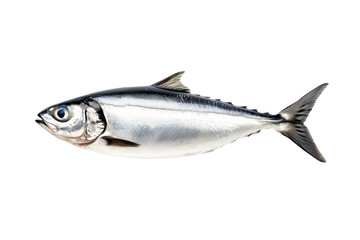 Obraz premium Fresh sardine fish with detailed scales and fins isolated on white transparent background, symbolizing canned seafood