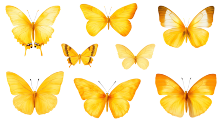 Collection set of yellow butterflies isolated on transparent or white background