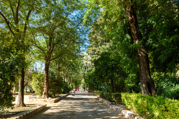 Seville, Spain - August 01, 2024: Park and gardens of Murillo of the city of Seville, Spain