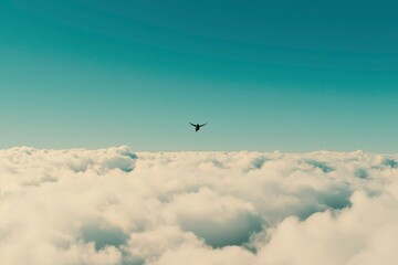 Fototapeta premium A lone skydiver descends above a sea of clouds