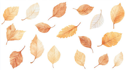 Obraz premium Realistic Falling Leaves in Golden and Brown Tones on a White Background