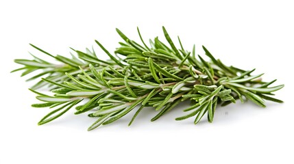 Fototapeta premium 34. A sprig of fresh rosemary on a white background