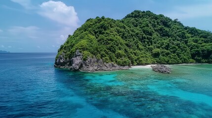 Fototapeta premium Birdseye view of a lush green island surrounded by crystal clear water tropical paradise aerial photograph serene environment