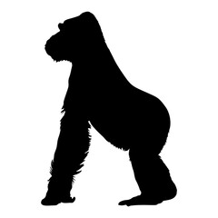 Silhouette of a Gorilla Standing in a Natural Pose Against a Blank Background