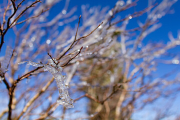 青空と樹氷　蓼科山山頂にて2