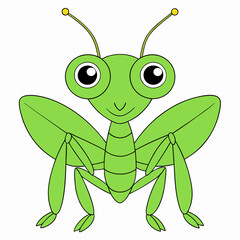 Praying Mantis Close-Up on White Background, High Resolution