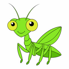 Praying Mantis Close-Up on White Background, High Resolution