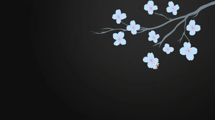 Delicate cherry blossoms on dark background