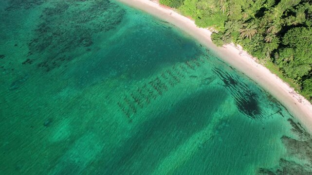 Orbit top view over the beach in Cahuita National Park, Costa Rica