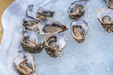 Fresh oysters on ice at elegant wedding reception