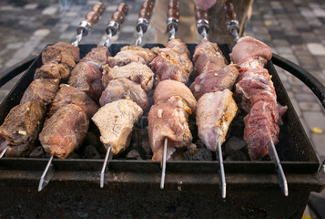 grilled meat, barbecue, picnic, steak, steak, meat, guests, food, delicious