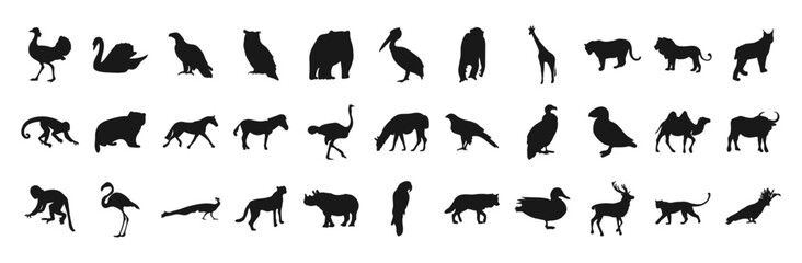 Collection of vector illustrations of animals and birds is an amazing black and white collection of various silhouettes. Perfect for zoo, nature and animal themed designs