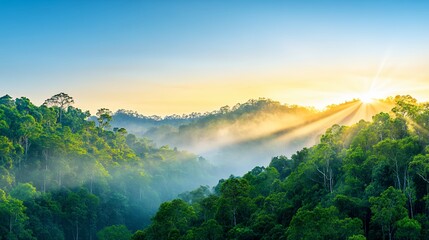 Serene Sunrise Over Misty Green Forest