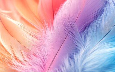 Obraz premium A soft pastel feather background with blurred textures evoking a peaceful, nature-inspired atmosphere. This calming design is perfect for serene concepts or elegant visual backdrops.