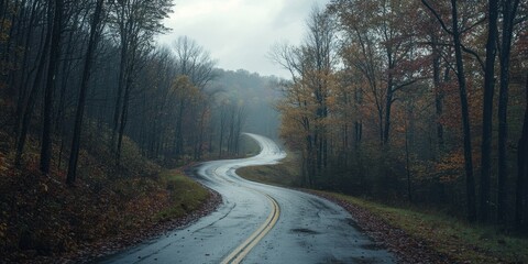 Fototapeta premium Winding road through a misty forest in autumn, revealing tranquil beauty in nature's quiet moments