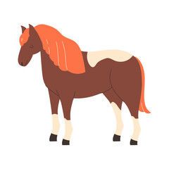 Playful cute horse on white background