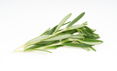 Rosemary isolated on white background