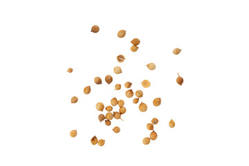 coriander seeds on white background
