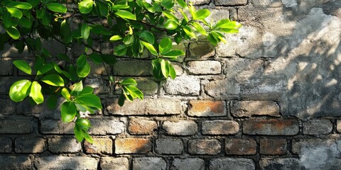 Lush green leaves cascade over a weathered brick wall with grunge texture in muted earthy tones creating a vibrant urban background scene