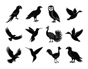 Collection of Wild Birds silhouettes on white background