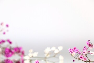 Pink and white gypsophila flowers on a light background. Concept creative floral background