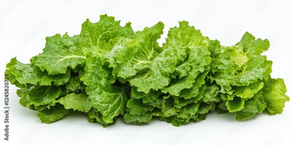 Poster fresh green cos lettuce arranged in a neat row against a white background showcasing vibrant leafy t