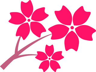 Cherry Peach plum Blossom flower or sakura spring flowers flat vector icon set for apps websites or print.