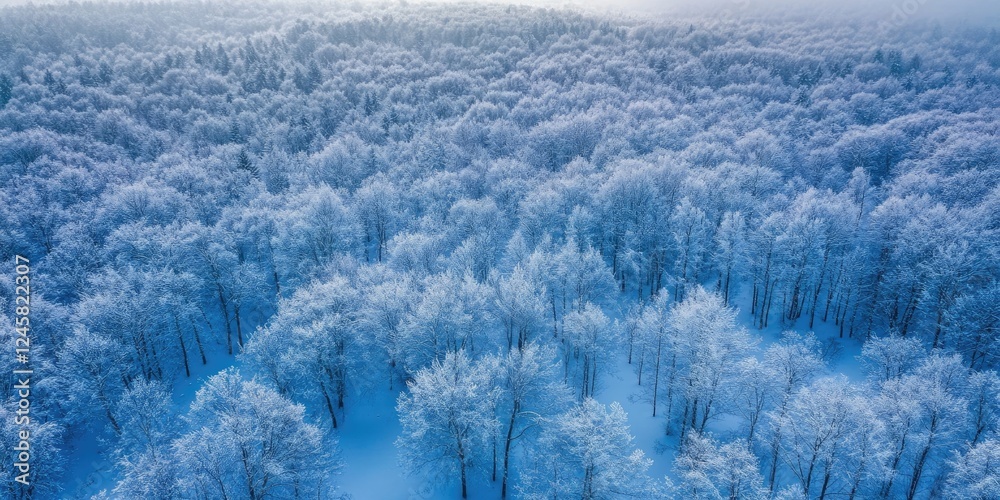 Poster aerial view of a tranquil snow-covered forest with frosted trees in varying shades of white and blue