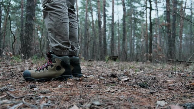 Hiking in forest. Tourist shoes in forest park. Adventure tourist on vacation. Legs of tourist in forest park. Trekking