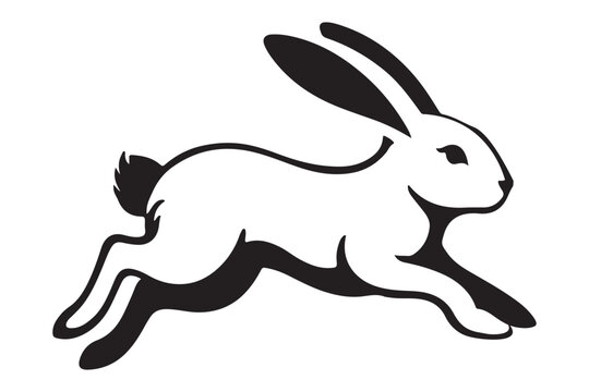Realistic rabbit running front view drawing illustration vector graphic