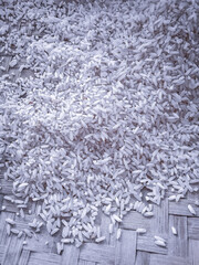 Black and white, closeup of white rice grains in a rice tray or tampah from Indonesia. Rice is the most widely grown tropical cereal in the world.  Resulted by Oryza sativa plant.