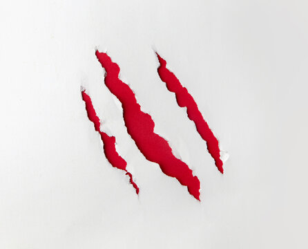 Claws scratches on paper background