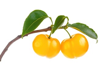 Vibrant Yellow Acerola Cherries on Branch, Isolated. Perfect for healthy food, vitamin C, tropical fruit, and exotic recipes. High-resolution image, ideal for packaging, websites, and culinary        