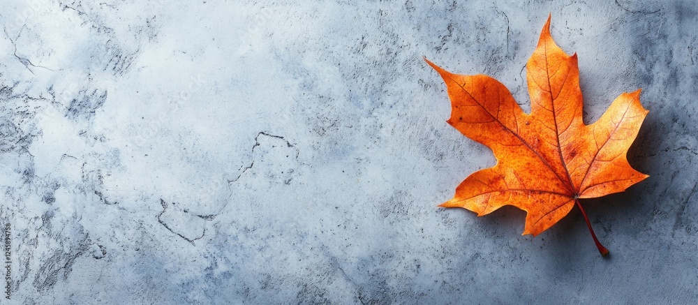Wall mural autumn leaf resting on a textured cement floor with seasonal colors creating a serene and inviting a