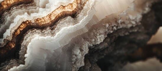 Fototapeta premium Natural mineral patterns with mirror effect showcasing intricate textures in shades of brown and white for elegant design applications