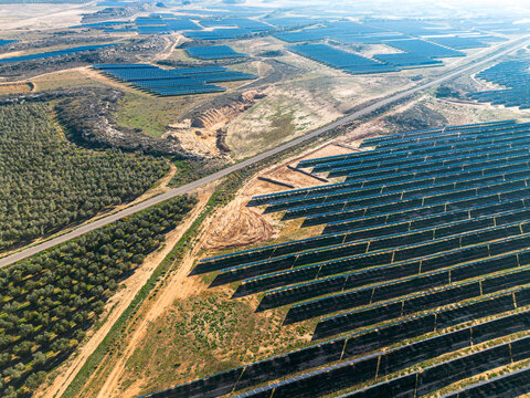 Sustainable power and olive agriculture coexist in Teruel, Zaragoza, Spain.