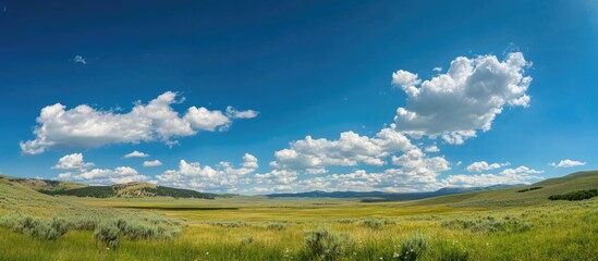 Vast landscape under a clear blue sky with fluffy white clouds creating a serene and tranquil atmosphere in nature.