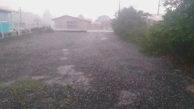 Hailstorm with wind in the yard.