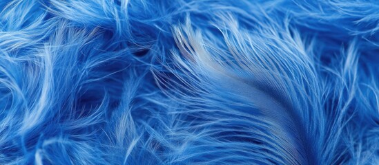 Obraz premium Vibrant blue feather texture background for creative projects and design applications