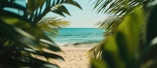 Serene beach vista framed by lush palm leaves with clear ocean waves and sandy shore ideal for tranquil designs and text placement.