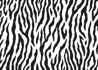 Abstract Zebra pattern design, vector illustration background. wildlife fur skin design illustration.