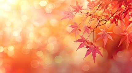 Fototapeta premium Maple leaves in autumn colors against a bokeh background, evoking the beauty of the fall season.