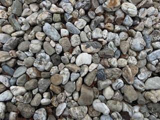 Assorted round rocks with natural earth tone colors.