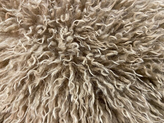Textured beige wool fibers, soft and fluffy surface.