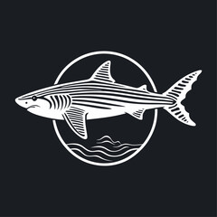 vector illustration of a shark